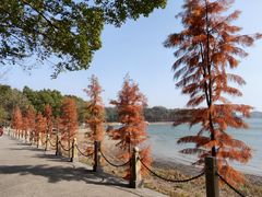 -天目湖山水园
