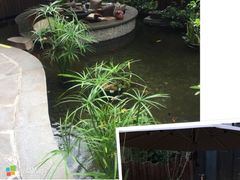 -隐溪茶馆(静安寺店)
