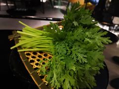 -凤园椰珍·臻品椰子鸡(保利时光里店)