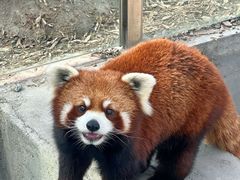 -水上乐园·欢乐世界