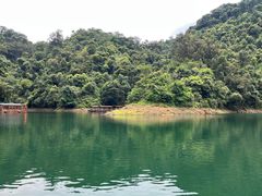 -鼎湖山风景区