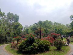 -东湖落雁景区