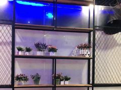 -尚岛私房菜(西方巷店)