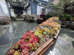 -寂照庵