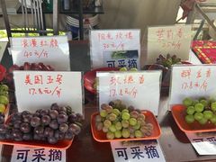 -马陆小张葡萄园农家乐