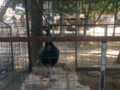 -意大利农场度假村