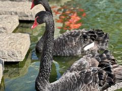 -南京圣和府邸豪华精选酒店