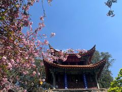 -昆明市金殿名胜区