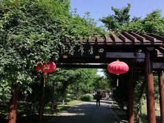 -鹅湖玫瑰文化园