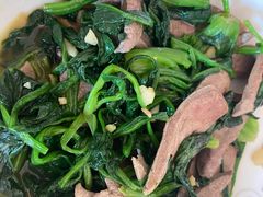 -爱的果实月嫂育婴师(世纪东方店)