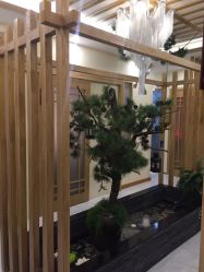 -芳朵美容养生SPA