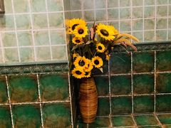 -朝郡酒家·粤菜(燕大星苑店)