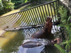 -海南热带野生动植物园