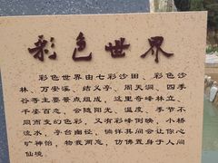 -彩色沙林风景区