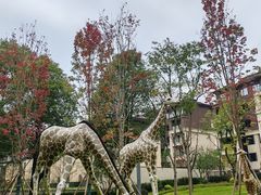 -海兰云天度假区温泉