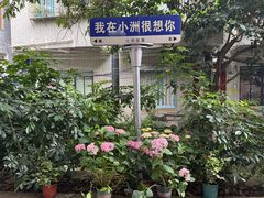 -小洲村