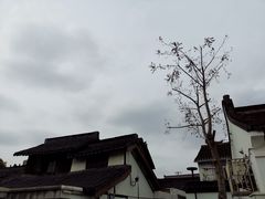 -三林塘老街