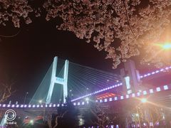 -上海南浦大桥长途旅游客运站