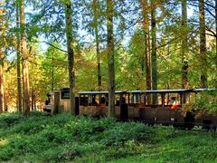 -黄海国家森林公园