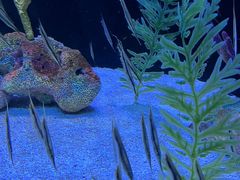 -上海海洋水族馆