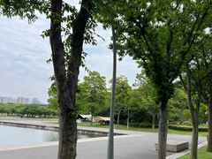 -贡湖湾湿地公园