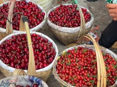 -贡椒鱼老店·雅安十大名店