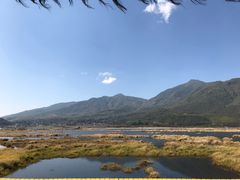 -腾冲北海湿地