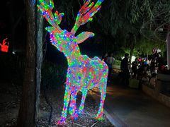 -南宫五洲植物乐园