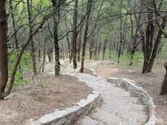 -千佛山风景名胜区
