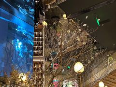 -桂满陇·海市蜃楼·黑金(国金店)