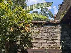 -野蔓果·山野菜(西湖景区·龙井茶田店)