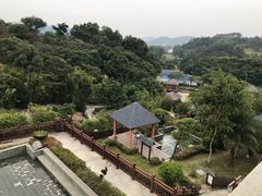 -罗浮山嘉宝田森林温泉度假酒店