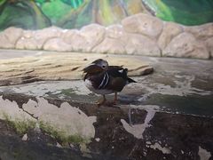 -海合安武汉极地海洋公园