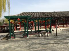 -莲花池公园