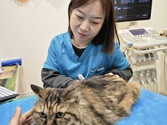-美迦爱-牙专科·兔科·骨科诊疗中心(北苑店)