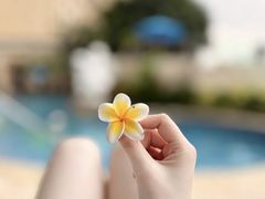 -澳门十六浦索菲特大酒店