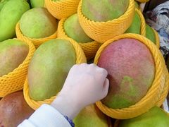 -港华水果街(港华广场店)