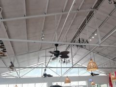 -芭厘农庄老字号·清远鸡