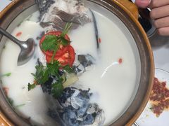 -全乐鱼馆·淳牌有机鱼直营店