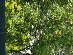 -北京国家会计学院