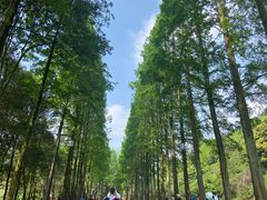 -青城山