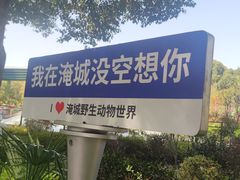 -常州淹城野生动物世界