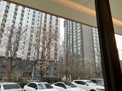 -蓝天国际游泳培训基地(华腾园店)