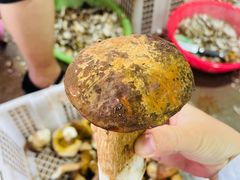 -双喜农庄·菌香园(安居家园店)