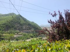 -德厚山庄