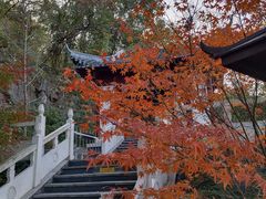 -阳山碑材（明文化村）景区