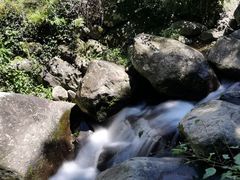 -藏龙百瀑风景区