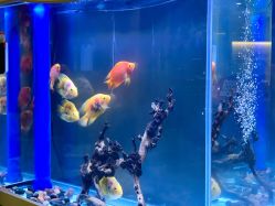 -妙睫屋日式美甲美睫