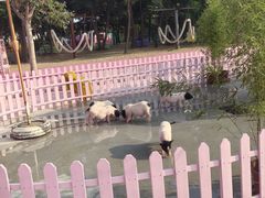 -渔岛海洋度假区