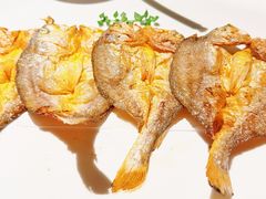 -甄御•海鲜新青岛菜(麦岛店)